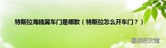 特斯拉怎么开车门？ 特斯拉海鸥翼车门是哪款