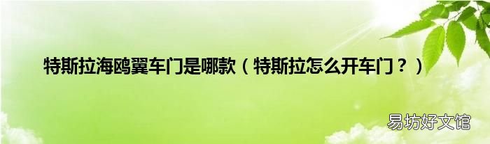 特斯拉怎么开车门? 特斯拉海鸥翼车门是哪款