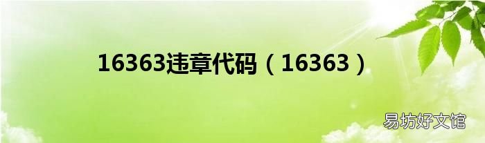 16363 16363违章代码