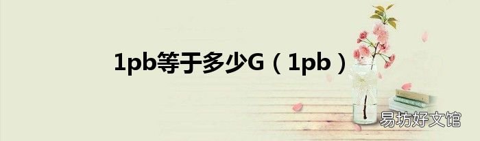 1pb 1pb等于多少G