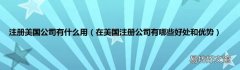 在美国注册公司有哪些好处和优势 注册美国公司有什么用