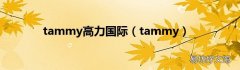 tammy tammy高力国际