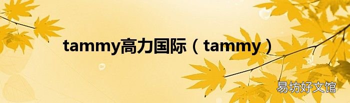 tammy tammy高力国际