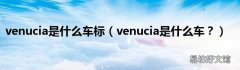 venucia是什么车？ venucia是什么车标