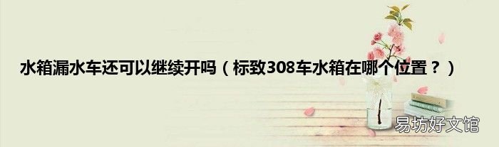 标致308车水箱在哪个位置? 水箱漏水车还可以继续开吗