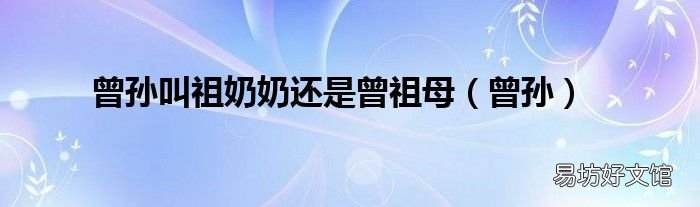 曾孙 曾孙叫祖奶奶还是曾祖母