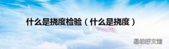 什么是挠度 什么是挠度检验
