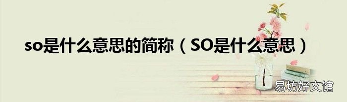 SO是什么意思 so是什么意思的简称