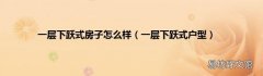 一层下跃式户型 一层下跃式房子怎么样