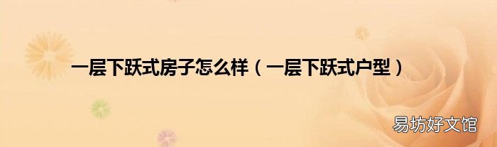 一层下跃式户型 一层下跃式房子怎么样