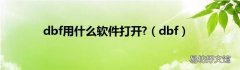 dbf dbf用什么软件打开?