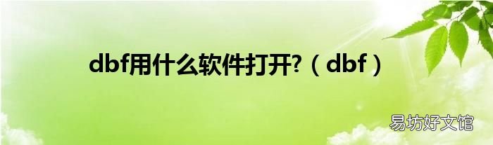 dbf dbf用什么软件打开?