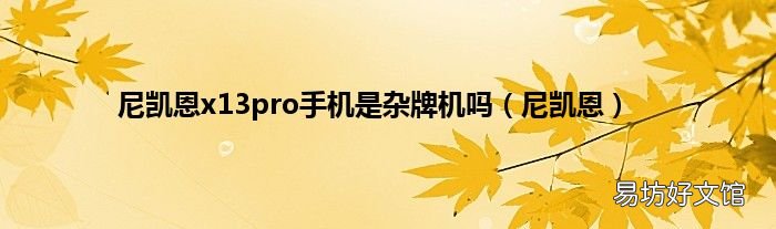 尼凯恩 尼凯恩x13pro手机是杂牌机吗