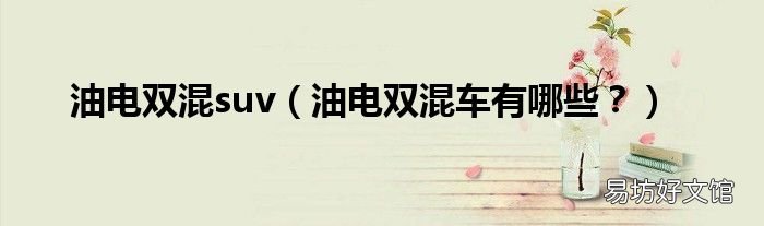 油电双混车有哪些？ 油电双混suv