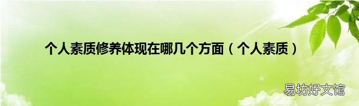 个人素质 个人素质修养体现在哪几个方面