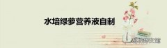 水培绿萝营养液自制