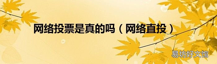 网络直投 网络投票是真的吗