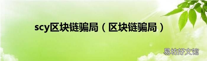区块链骗局 scy区块链骗局