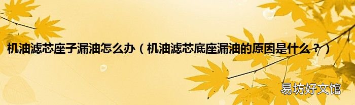 机油滤芯底座漏油的原因是什么? 机油滤芯座子漏油怎么办