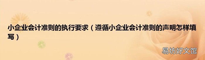 遵循小企业会计准则的声明怎样填写 小企业会计准则的执行要求