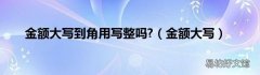 金额大写 金额大写到角用写整吗?