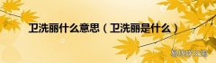 卫洗丽是什么 卫洗丽什么意思