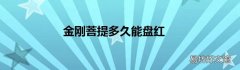 金刚菩提多久能盘红