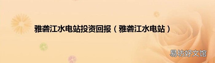 雅砻江水电站 雅砻江水电站投资回报
