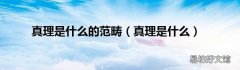 真理是什么 真理是什么的范畴