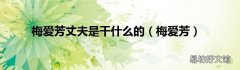梅爱芳 梅爱芳丈夫是干什么的