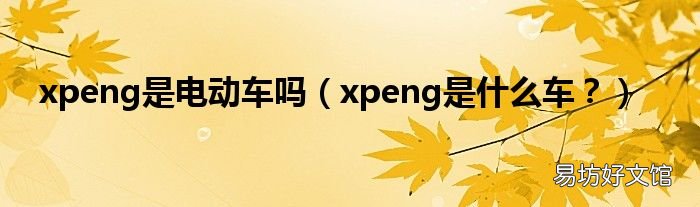 xpeng是什么车? xpeng是电动车吗