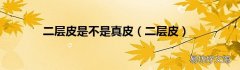 二层皮 二层皮是不是真皮