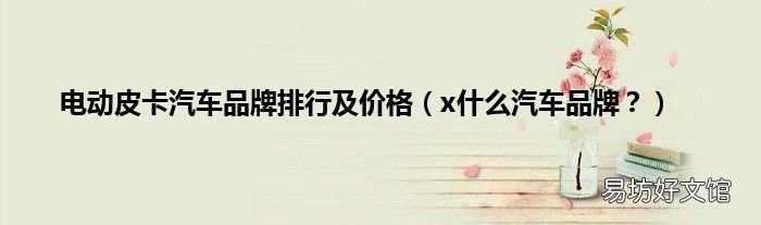x什么汽车品牌? 电动皮卡汽车品牌排行及价格