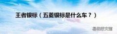 五菱银标是什么车？ 王者银标