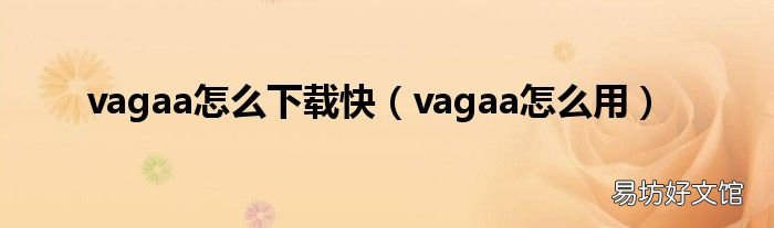 vagaa怎么用 vagaa怎么下载快