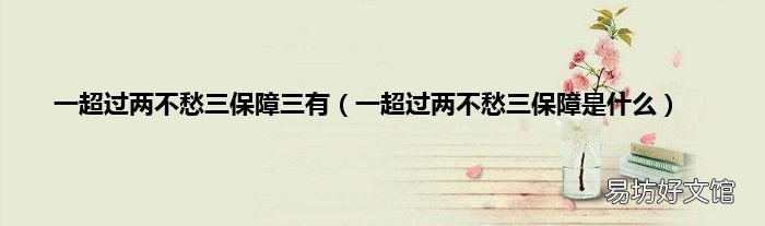 一超过两不愁三保障是什么 一超过两不愁三保障三有