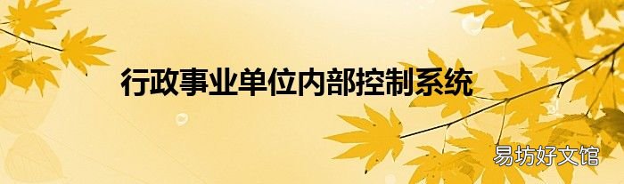 行政事业单位内部控制系统