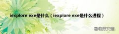 iexplore exe是什么进程 iexplore exe是什么