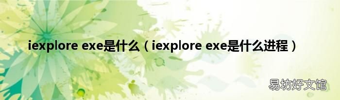 iexplore exe是什么进程 iexplore exe是什么