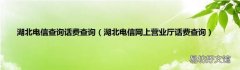 湖北电信网上营业厅话费查询 湖北电信查询话费查询