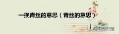 青丝的意思 一挽青丝的意思
