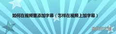 怎样在视频上加字幕 如何在视频里添加字幕