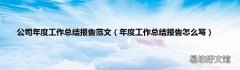 年度工作总结报告怎么写 公司年度工作总结报告范文