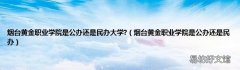 烟台黄金职业学院是公办还是民办 烟台黄金职业学院是公办还是民办大学?