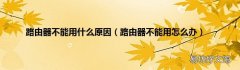 路由器不能用怎么办 路由器不能用什么原因
