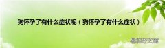 狗怀孕了有什么症状 狗怀孕了有什么症状呢