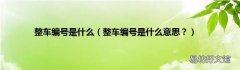 整车编号是什么意思？ 整车编号是什么