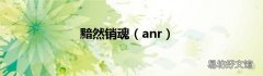 anr 黯然销魂