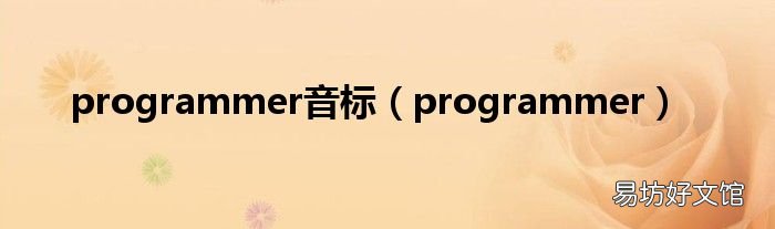 programmer programmer音标
