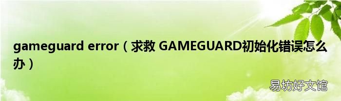求救 GAMEGUARD初始化错误怎么办 gameguard error